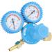 Oxygen Regulator 0-25MPa 0-2.5MPa Dual Display Heavy Duty Handle Oxygen Regulator HVAC Oxygen Tank Regulator Gauge for Chemical Healthcare - Buy Online on GoSupps.com