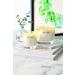 Neom Organics London 185g Scented Candle - Boost Your Energy | Pack of 1 - Buy Online on GoSupps.com