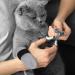POPETPOP Breathable Cat Shoes Cat Boots 4Pcs shoes for cats cat nails caps cat claw covers Paw Covers Protectors Cat Paw Covers 10X9X0.5CM Grey - Buy Online on GoSupps.com