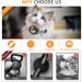 Jiaarui Breakaway Cat Collar with AirTag Holder - Adjustable Durable Reflective Blue Neck Band for Cats & Kittens - Buy Online on GoSupps.com