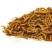 SQUAWK Dried Meal Worms - Premium Wild Bird Food (5kg) - Buy Online on GoSupps.com