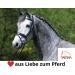 AMKA Double Jointed Argentan Full Cheek Snaffle Bit - 16 mm Gag Bit for Optimal Horse Control | International Shipping Available - Buy Online on GoSupps.com
