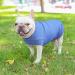 Docio Dog Sweater - Soft & Warm T-Shirt for Small Dogs & Cats | Light Blue Spring Coat (1 Pack) - Buy Online on GoSupps.com