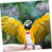 PopetPop Flying Bird Diapers - Protective Parrot & Pigeon Outfit | Sittich Diapers for Birds - 20x11cm Neoprene Suit - Buy Online on GoSupps.com