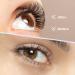 120 Clusters C Curl DIY Eyelash Extension Premade Volume Fans by MAEXUS | Individual Lashes - 0.07C 8mm-16mm MIX BP02BK20D_A - Buy Online on GoSupps.com