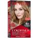 Revlon ColorSilk Permanent Hair Colour - 61 Dark Blonde, 1 Count - Buy Online on GoSupps.com