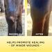 Corona Ointment 7oz for Horses - Natural Healing and Protection - Buy Online on GoSupps.com