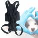 Dog Back Bandage for Arthritis & IVDD - Surgical Recovery & Rehabilitation Support | Prevent Back Disease - Buy Online on GoSupps.com