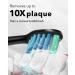 6-Pack Black MySmile Electric Toothbrush Replacement Heads - Buy Online on GoSupps.com