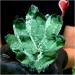 Natural Crystal Rough Crystal Cluster Natural Green Spooky Spooky Quartz Crystal Cluster Specimen Home Office Decoration (Size : 1100-1200g) - Buy Online on GoSupps.com