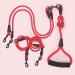 4-in-1 Dog Leash for 1-4 Dogs | No-Tangle Pet Lead for Walking & Jogging | Perfect for Medium & Small Dogs | Red - Buy Online on GoSupps.com