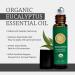 Organic Eucalyptus Essential Oil Roll On - 100% Pure USDA Certified | Respiratory Health Colds Sinus & Allergy Relief | 10ml by Silk Road Organic - Buy Online on GoSupps.com
