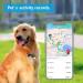 PetFon Pet GPS Tracker - Real-Time Tracking Collar Device with No Monthly Fee - APP Control for Dogs - Activity Monitor - Dog GPS Tracker - Buy Online on GoSupps.com