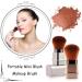 Vtrem 2 Colors Retractable Kabuki Brush Travel Foundation Brush Small Soft Face Powder Brush Blush Makeup Brushes for Blending Liquid Cream or Flawless Powder Cosmetics Light Gold/Silver - Buy Online on GoSupps.com