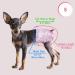 PET Soft Dog & Cat Diapers - 20 Disposable High-Suction Diapers for Bitches with Adjustable Tail Hole | S Size - Buy Online on GoSupps.com