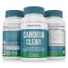 CANDI CLEAR Supplement with Oregano Magnesium Reishi Mushroom | Extra Strength Overgrowth Gut Support Complex for Digestion & Skin | Fast Acting Relief for Men & Women Restore Balance 60 Capsules