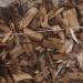 Buy Croci Zoo Med CM-8E Forest Floor Cypress Mulch Substrate for Terrariums - 8.8L (Pack of 2) | International Shipping Available - Buy Online on GoSupps.com