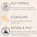 Brush On Block Mineral Sunscreen Duo SPF 50 - Sheer Genius Moisturizer & Sunscreen Powder for Sensitive Skin - UVA UVB Protection - Natural & Reef Friendly (Translucent) - Buy Online on GoSupps.com