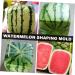 HOMSFOU Watermelon Shaping Vegetables Vegetable Growth Molds Strawberry Cup Fruit Forming Mold Tool Cucumber Ginseng Fruit 15x15cm Transparent - Buy Online on GoSupps.com