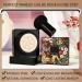 Bb Cream Foundation Mushroom Head Air Cushion Cream Long Lasting Full Coverage Makeup Base Primer with Mushroom Head Brush Waterproof Cc Cream for Even Skin Tone - Buy Online on GoSupps.com