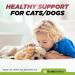 BUDDY'S BEST Ringworm Relief Spot-On Treatment for Dogs & Cats: Natural Fast-Acting Formula with Jojoba & Neem Oil Soothes & Heals Skin Easy Application 50ml - Buy Online on GoSupps.com
