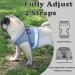 Anlitent Soft Mesh No Pull Cat Harness & Lead Set - XS Under 3lbs - Escape Proof Vest for Walking Cat/Kitten - Grey - Buy Online on GoSupps.com