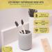 Bleeker and Rowe Biodegradable Eco-Friendly Toothbrushes - BPA Free Soft Bristles - Sustainable & Recycled Packaging - Pack of 10 - Buy Online on GoSupps.com