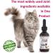 Nodens Cat Hip and Joint Glucosamine with Chondroitin, Opti-MSM, Hyaluronic Acid - 2 fl oz for Joint Flexibility & Pain Relief - Buy Online on GoSupps.com