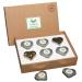 Tealavie 6 Series Gr ner Tee Gift Set (45g) Tasting Set Box for Tea Lievers for Easter 2024 Teapie-6 Set-Green Tea Lose