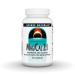 Source Naturals Mag/Cal 2:1, Magnesium and Calcium Supplement - 90 Capsules 90 Count (Pack of 1)
