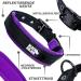 Black Rhino Comfort Collar - Ultrasoft Neoprene Padded Adjustable Dog Collar for All Breeds - Large Reflective Weatherproof - Purple/Blue & Purple/Black - Buy Online on GoSupps.com