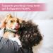 Premium Dog Probiotics 5BIL CFUs | 12 Strains Good Bacteria for Gut & Skin Health | Immune Support & Itch Relief | Salmon Flavored Chews for All Breeds & Ages - Buy Online on GoSupps.com