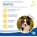 Nutrilabs IROSTOL Pellets for Dogs - 500g Dietary Supplements with MSM Biotin & Omega Fatty Acids | Essential Vitamins & Minerals for Dog Health - Buy Online on GoSupps.com