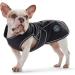 HUNTER Uppsala Softshell Dog Coat - Functional & Stylish Black Jacket for Dogs Size 55 - International Shipping Available - Buy Online on GoSupps.com