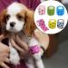 6 Rolls Vet Wrap Cohesive Bandages Dog Bandage Pet Dogs Leg/Ear/Knee/Ankle/Paws Wound Tape Self-Cohesive Cover Wraps for Cat Horses Canine Care Wounds Dressings Adhesive Elastic Comfy Gauze Bandanas Patterned - Buy Online on GoSupps.com