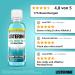 Buy Listerine Cool Mint Mild Alcohol-Free Antibacterial Mouthwash 95ml - Long-Lasting Freshness - Buy Online on GoSupps.com