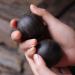 Unbit Baoding Balls - Magnetic Stress Relief Exercise Balls | 2 Pieces Chinese Health Massage Balls for Hand & Stress Relief - Buy Online on GoSupps.com