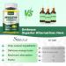 2 Pack Mullein Gummies for Lungs, Mullein Leaf Extract Supplement for Digestive & Respiratory & Immune Support with Bromelain, Quercetin, Mango Flavor, 120 Count Mango 60 Count (Pack of 2) - Buy Online on GoSupps.com