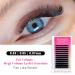 TDANCE Cashmere Easy Fan Lash Extensions | Self Fanning Volume D Curl 0.07mm | Mega Volume 14-19mm Matte Black Eyelash Extensions - Buy Online on GoSupps.com