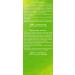 Weleda Citrus Deodorant 3.4 FL Oz - Pack of 2 | Natural, Long-lasting Freshness - Buy Online on GoSupps.com