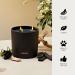 Apotheke 3-Wick Candles Collection - Charcoal | Premium Scented Candles for Home | International Shipping Available - Buy Online on GoSupps.com