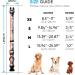 Heele Dog Collar - Adjustable Patterned Collars for Small Medium & Large Dogs | Comfortable & Robust | Sunrise Design (25-38cm) - Buy Online on GoSupps.com