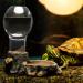 Navaris Reptile Water Dispenser - 400ml Realistic Tortoise Accessories - Large Water Bowl Dish - Bowls for Reptiles & Amphibians - Buy Online on GoSupps.com
