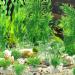 Ctpeng 23-Piece Artificial Aquarium Plants - Green & White Plastic Aquarium Decoration for International Shipping - Buy Online on GoSupps.com