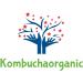 Kombuchaorganic Certified Organic Large (5 Litre) and Mature Beautiful Kombucha Scoby Starter Tea FREE Postal Service - Buy Online on GoSupps.com
