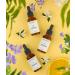 Vitamin C Serum for Face - Anti-Aging Reduces Wrinkles & Uneven Skin Texture | Plant Stem Cell Serum 30ml - Buy Online on GoSupps.com