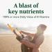 Buy MegaFood Daily Energy Multivitamin - 60 Tablets for Boosted Vitality - Buy Online on GoSupps.com