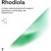 Thorne Rhodiola - Botanical Supplement for Stress Relief - Enhances Positivity Sleep and Mental Focus - 60 Capsules - 60 Servings - Buy Online on GoSupps.com