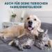 REMOS Tartar Remover 2 in 1 Dental Care for Dogs Cats & People - Effective Teeth Cleaning Solution - Buy Online on GoSupps.com