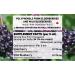 Immunia Elderberry & Wild Blueberry Concentrate. Strengthen Your Immune System Naturally. Delicious Taste. 24-Day Supply. (1-Pack) 1 Count (Pack of 1) - Buy Online on GoSupps.com